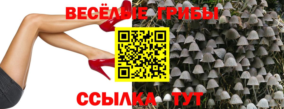 Псилоцибиновые грибы MAGIC MUSHROOMS Аша