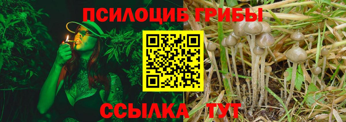 Аша  Галлюциногенные грибы Psilocybe  магазин    Вход с VPN 