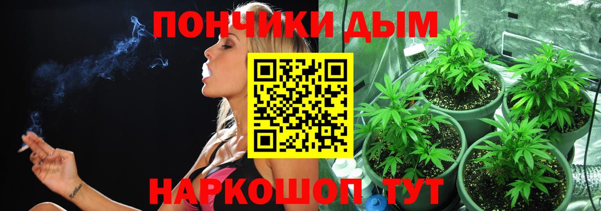 Шишки марихуана план Аша